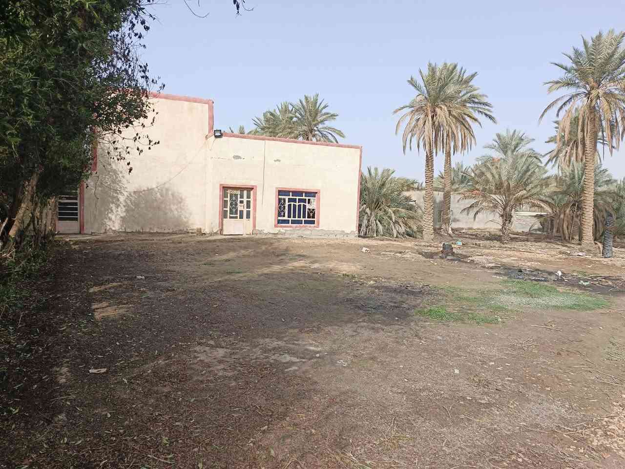 سلام عليكم  بيت في بابل ناحيه الدبله منطقه هوي الشام مساحته دونم
للستفسار ***********
