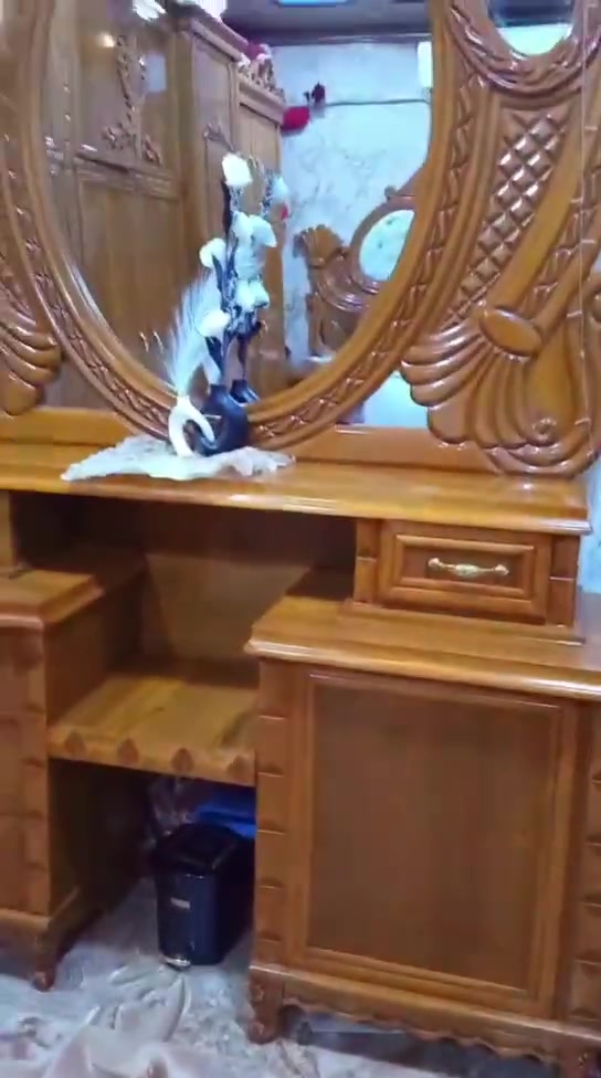 للبيع تفصال مكان بصره 
ارفعو منشور ب تم


**إذا كنت صاحب هذا الإعلان وتريد حذفه لأي سبب، رجاءا أرسل رسالة إلى الدعم الفني**