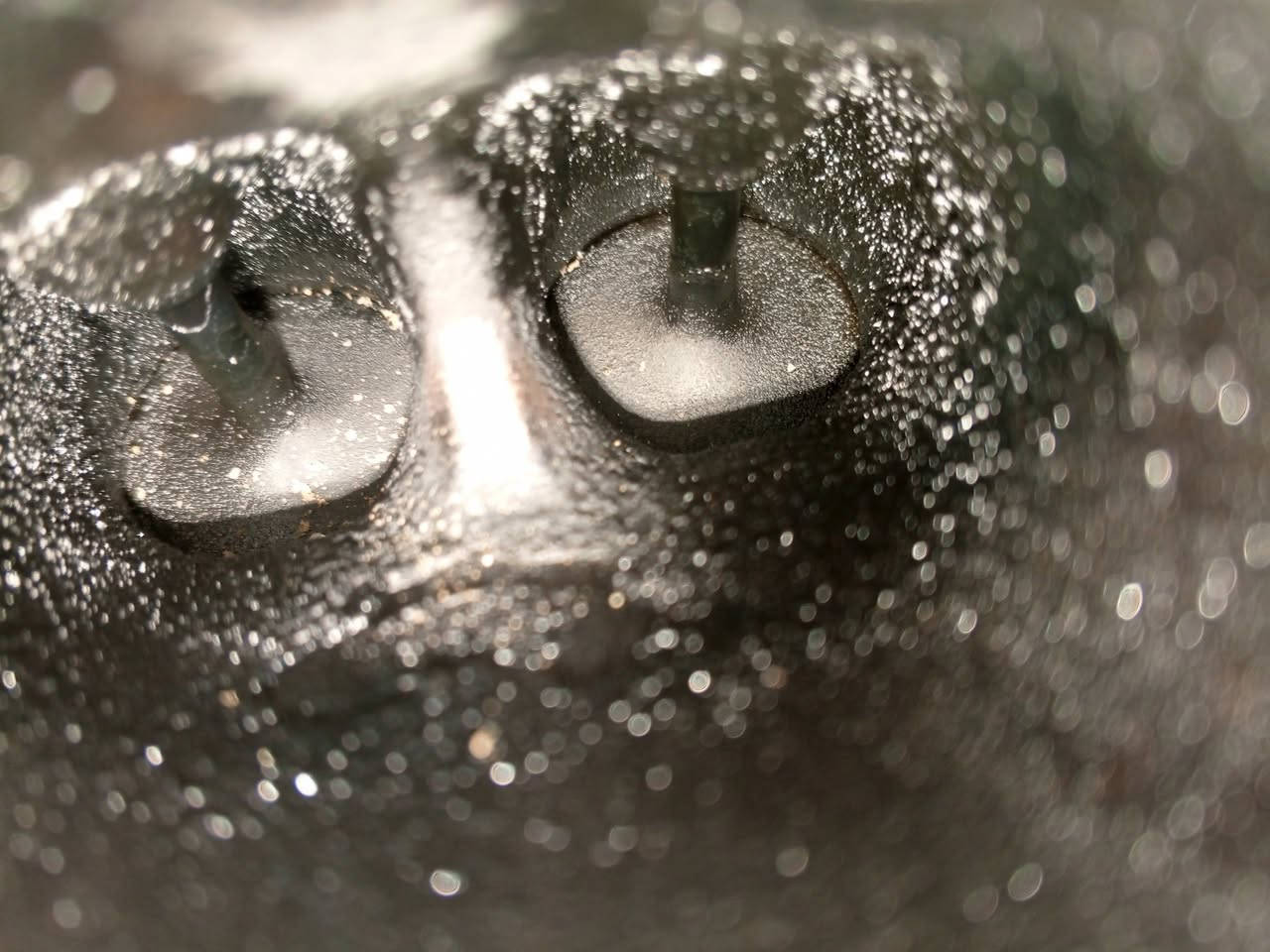 الادمن المحترم 🌹🌹


**إذا كنت صاحب هذا الإعلان وتريد حذفه لأي سبب، رجاءا أرسل رسالة إلى الدعم الفني**