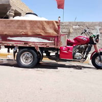 ستوته • محرك فحل • اوراق كامله