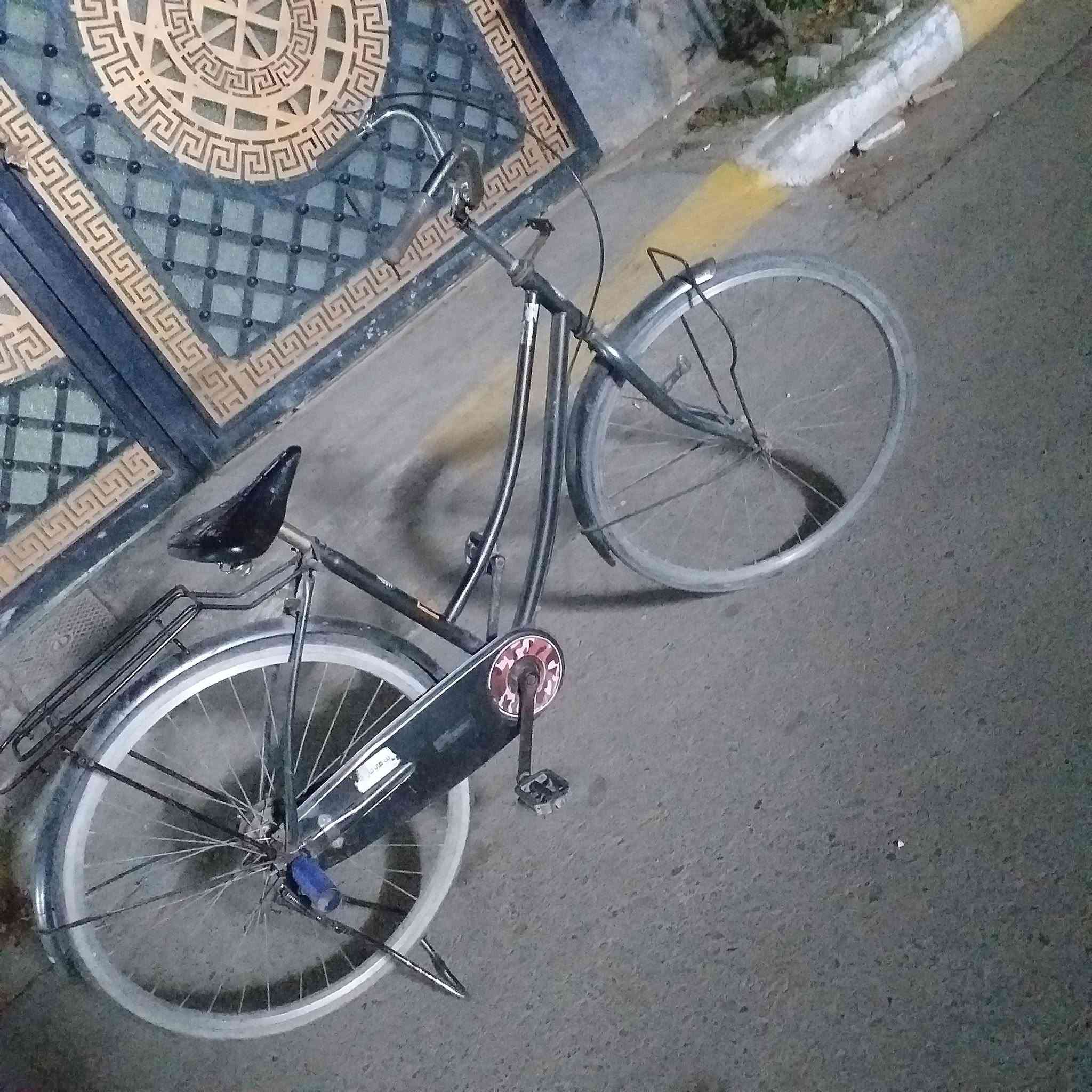 السلام عليكم
بايسكل بناتي 

حجم 26  

بايسكل نضيف ما عوزه شي 

فقط الويل بي عواج واضح بل فيديو

السعر 70 وبي مجال للطيبين 

موجود  خاص خاص ماسنجر 

المكان بغداد مدينة الصدر 

ابيع كوم حديد كوم حديد

 تجي تحمل وتروح الصور كدامك 

المو شراي لا يدخل خاص ويتعبني


**إذا كنت صاحب هذا الإعلان وتريد حذفه لأي سبب، رجاءا أرسل رسالة إلى الدعم الفني**