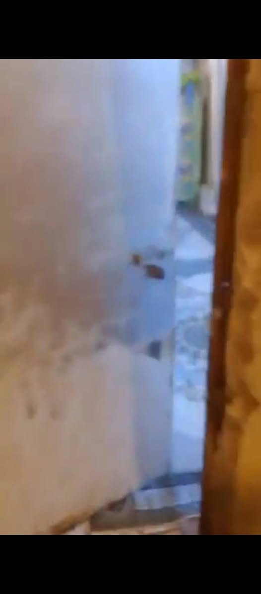 اسلام عليكم بيت تجاوز 5 ميل مقابل جسر الاگزيزه بظبط ما عليه كص تجس تسئل كل الجيران ياله تاخذ منطقه الگدامي كلهه مبلطه البيت  مثل ما واضح بل فيدو جاهز ويا مقطوره طن گيزر ماطور ماي تعال وسكن السقف نص سندويج ونص چينكو ومن داخل كله سقف ثانوي كهرباء كله جديد ع ايدي مجاري وصبغ كامل  السعر11وبي مجال  مساحه 150 متر البصرة, العراق


**إذا كنت صاحب هذا الإعلان وتريد حذفه لأي سبب، رجاءا أرسل رسالة إلى الدعم الفني**