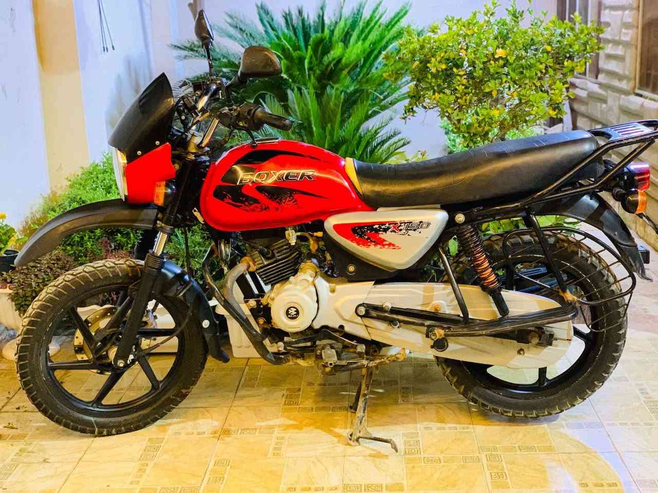 بوكسر جبلي 21 أوراق اصولي 
السعر/950
حله مركز المدينة 
***********
