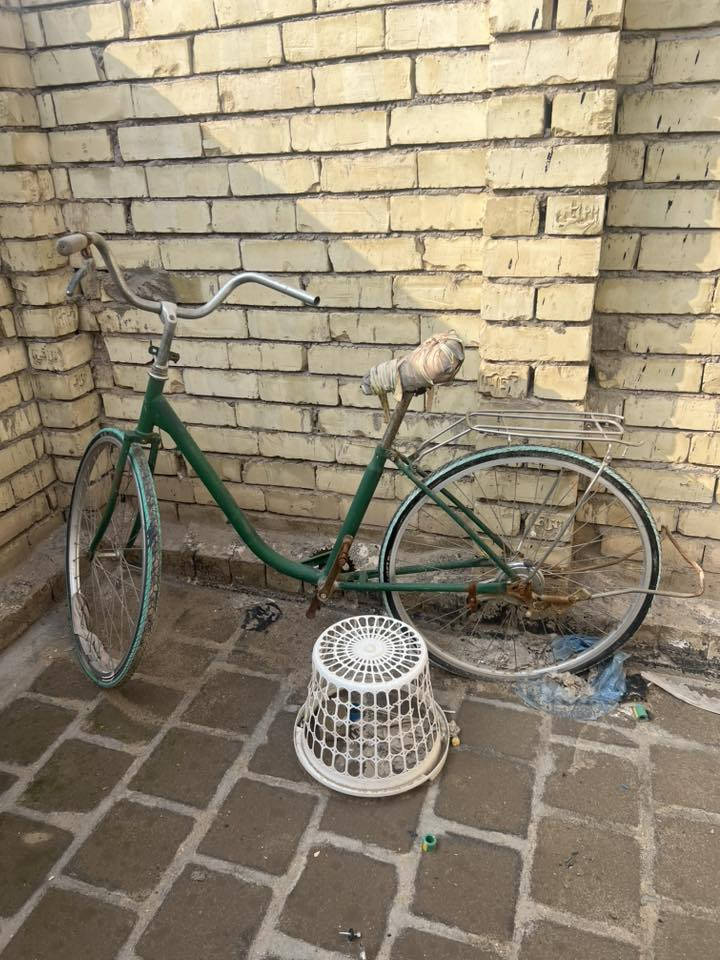 بيسكلين للبيع واحد بس شد تاير موجود التاير والويل والخضر بس زنجيل  وتايراته جوبه جدد 35الف قفل ذنيناتهن ***********واتساب
