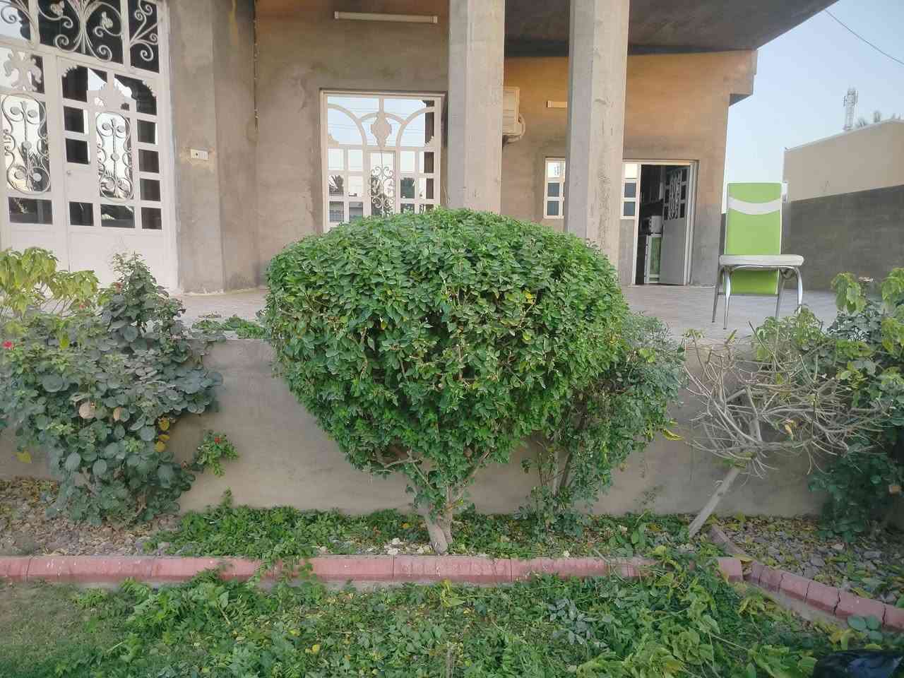 السلام عليكم مع بداية الموسم زراعه وترتيب الحدائق
مستعدون لعمل جميع ديكورات الحدائق وزراعه الزهور والثيل بانسب الأسعار داخل بلد

اتصال على الرقم التالى والاستفسار 

***********
