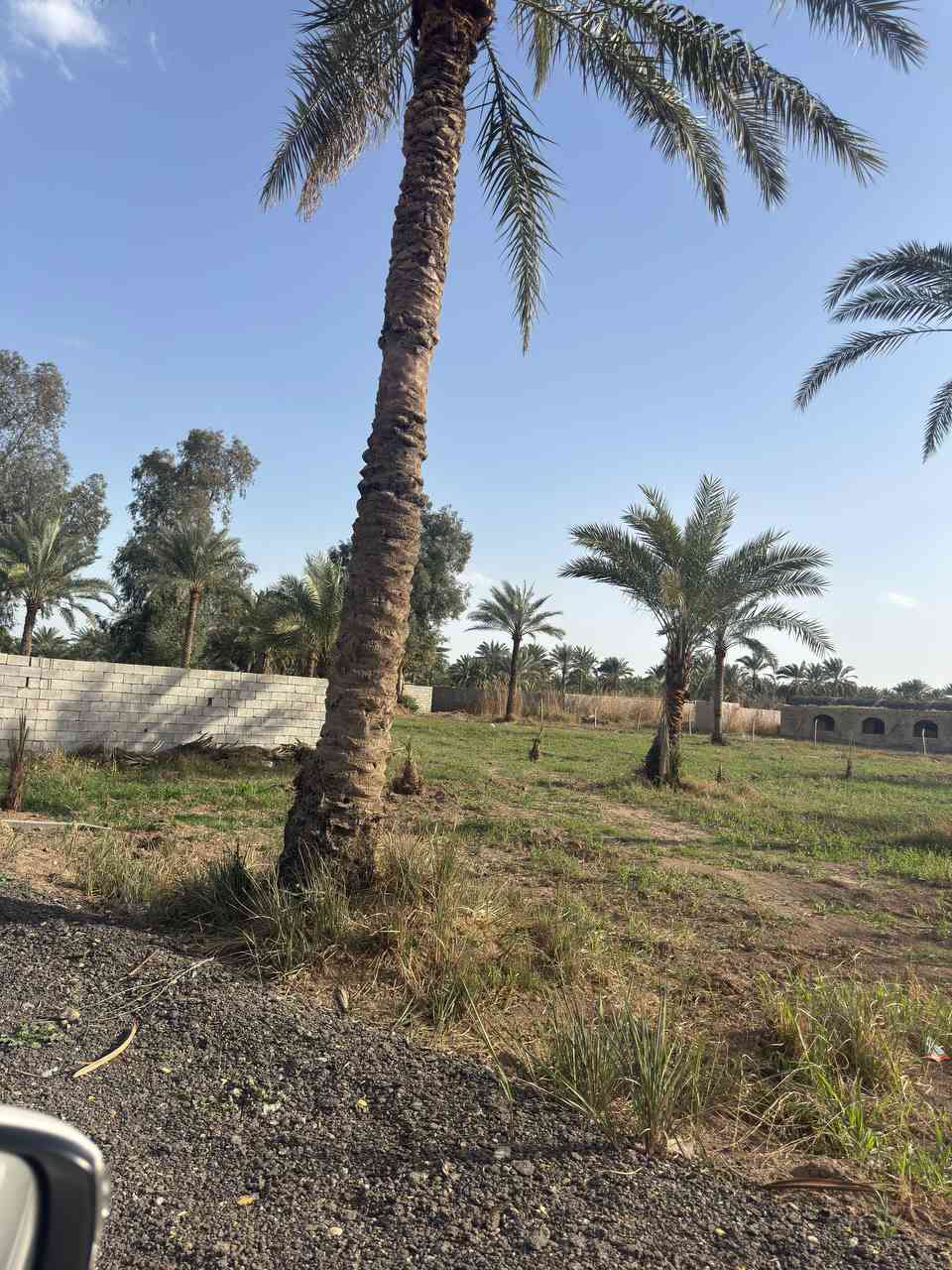 السلام عليكم موجودة عروض من الاراضي الزراعية والسكنية طابو 25 المساحة مختلفة 
يوجد أرض زرعيه طابو 25 المساحة 5 دونم  خدمات كاملة عنوان بغداد المدائن شارع سيد علي 

2-يوجد أرض  طابو ملك صرف  المساحة دونمين متوفرة كافة الخدمات بغداد المدائن منطقة تويثة 

3-يوجد أرض طابو ملك صرف في بغداد المدائن المساحه حسب الطلب 
4-يوجد دونم شاطية عقد 35 متوفرة كافه الخدمات بغداد المدائن منطقة الجعارة 
5 يوجد كافه العروض مزارع جاهزة أرض طابو ملك صرف يوجد عقود 
أي ستفسار اتصل
 ***********
***********
