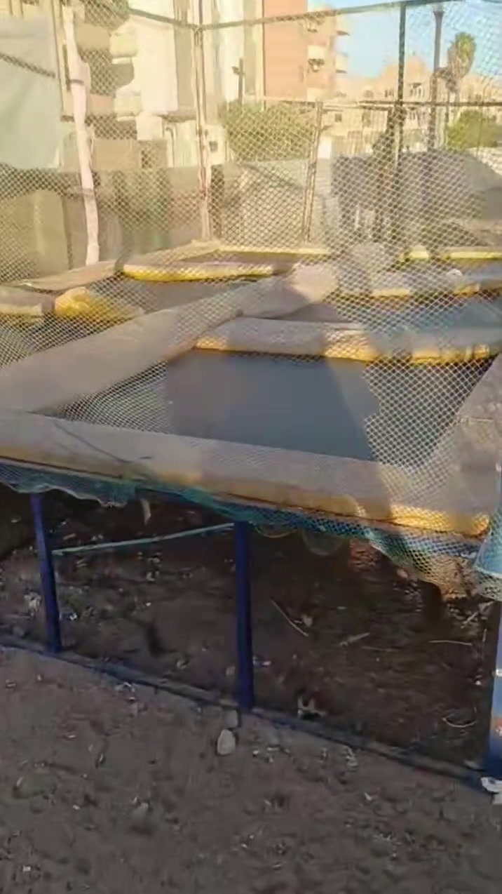 طول 6. عرض 5.   بحاله ممتازه تحميل فوري تواصل 01001599700


**إذا كنت صاحب هذا الإعلان وتريد حذفه لأي سبب، رجاءا أرسل رسالة إلى الدعم الفني**