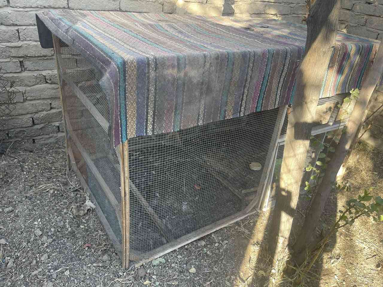 سلام عليكم قفص طيور أو دجاج ما بي اي خلل قاعدة تايرات تنقل سهل سعر 75وبي مجال.   للتواصل ***********
