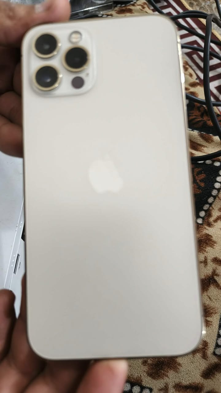 السلام عليكم اخوات عندي 12برو عادي اريد أبيعه مال بيت مكاني بغداد السعر خاص


**إذا كنت صاحب هذا الإعلان وتريد حذفه لأي سبب، رجاءا أرسل رسالة إلى الدعم الفني**