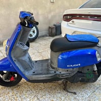 نوزل • بوليسي • ٢٠٠٩