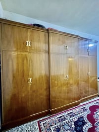 كنتور عملاق • خشب صاج • ٣٫٥م×٢٫٦م