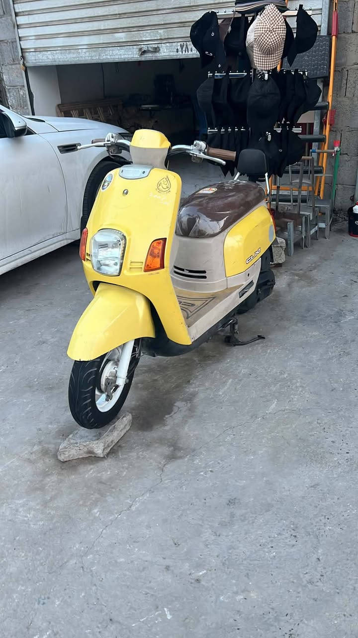 سلام عليكم بوليسي 🍋🍋 بلادي وكاله ختم واحد شرط دراجه نضافه 100/100 بعدهي بحاله الوكاله كفاله عامه من كلشي مكاني كربلاء حي العباس فرع الاول 
***********
سعره 1250 يعني مليون وربع  🍋✨
