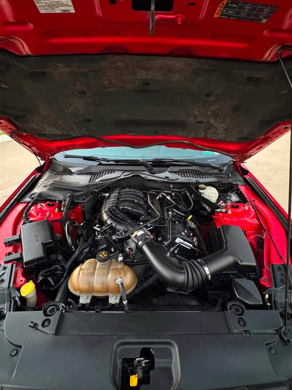 mustang 2015 
v6
clean title
nrx 154$$$
*********** أربيل, العراق
