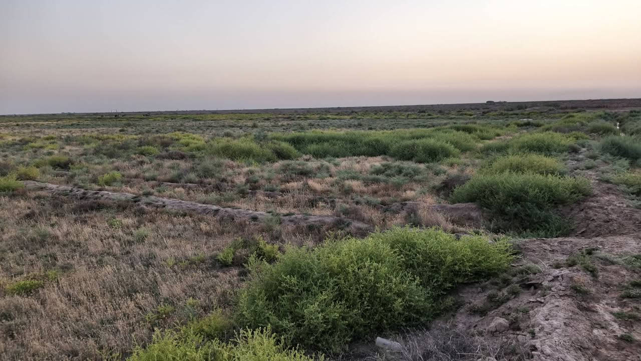 سلام عليكم أرض زراعية للبيع مساحة 200 دونم + بيت كامل مساحة 300  سندويج +بيت ثاني 150متر عگاده مع حقل كامله ماي +كهرباء +موطور جهاز+كاروبه بدواته كامله تبعد عن الشط كيلو فقط سعر 225 مليون مكان العمارة قضاء الميمونة  تواصل خاص او ***********
