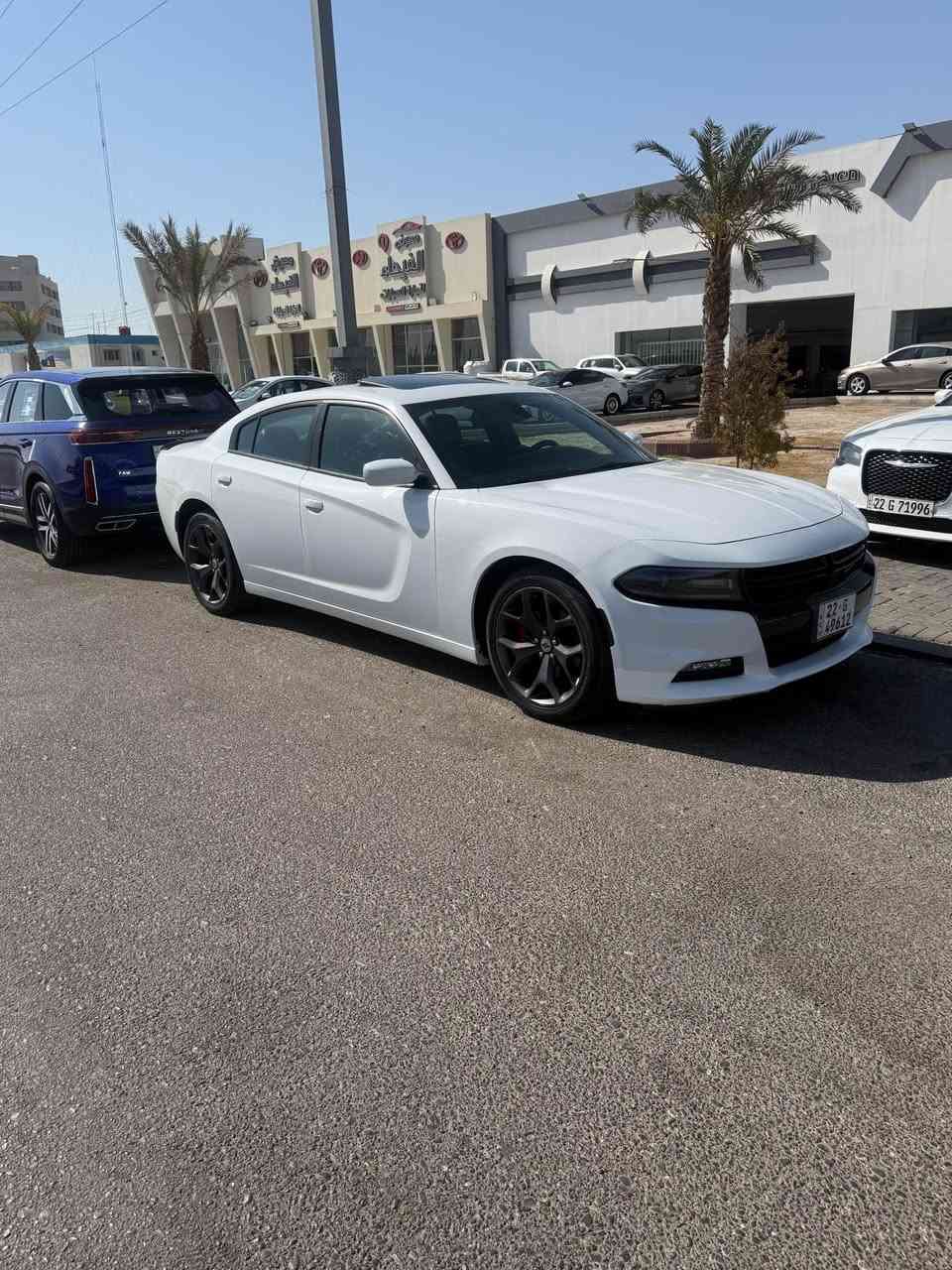 2017 دوج جارجر

دوج جارجر موديل 2017رالي بلاص فول مواصفات فتحه شفتات ستيرن كشنات حار بارد كشنات كهربائيه خزن ميموري سستم صوت بتيس دمام خلفي سياره ماشيه 68الف شرط الفحص كفاله على وضع الشركه حته الرضيات البلاد موجودات سبير ما نازل سياره جديده كفاله حته دعاميات
سونار بل منشور وين ما يعجبك فحص كلشي بيهه بلاد 
جاهزه تخم تاير جديد حداديه جديده تراي مال زيرو 
سياره مال جناي سعر 255  رقم اربيل جديد تحويل أو وكاله
رقم صاحب سياره  الاتصال*********** 
سياره اخت زيرو كفاله من شخط البصرة, العراق
