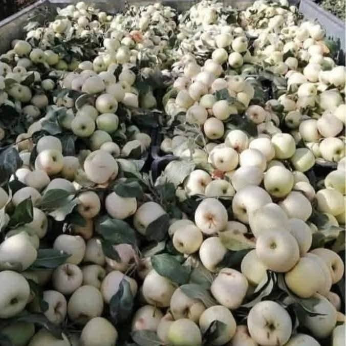 سلام عليكم حاليا متواجد فلكه الفرسان


**إذا كنت صاحب هذا الإعلان وتريد حذفه لأي سبب، رجاءا أرسل رسالة إلى الدعم الفني**