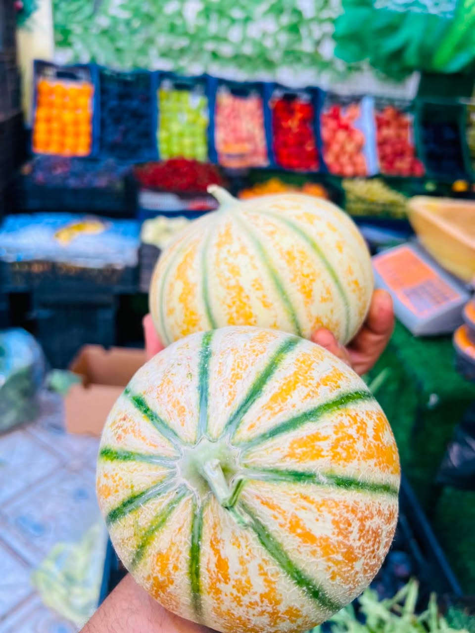 بطيخ شمام عسل 
بقالــــــيتنا ترحب بكم 
مجاور مكتبه كريم ناصر الحجيمي 📍
يوجد خدمه توصيل 🚚 
حياكم الله


**إذا كنت صاحب هذا الإعلان وتريد حذفه لأي سبب، رجاءا أرسل رسالة إلى الدعم الفني**