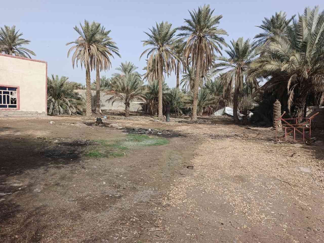 سلام عليكم  بيت في بابل ناحيه الدبله منطقه هوي الشام مساحته دونم
للستفسار ***********
