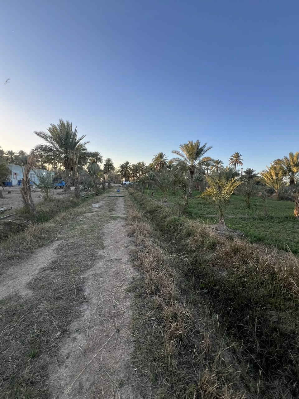 بستان للبيع سند24 الموقع كربلاء الحسينية الإبراهيمية خلف إذاعة كربلاء 
أربع دوانم وجه 65 م ولباقي نزال 
كل الخدمات 
تبعد عن الشارع العام 700متر 
للأستفسار أتصال ***********
