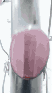 باسكل سوبر A حجم 26 بريكات أمامي خلفي شغاله داينمو لايت اصفر شغال قفل وره شغال باسكل نضيف مال حاويه ولون مميز المكان ناصريه قضاء سوق الشيوخ  مركز السعر 120 وبي مجال 
رقم الواتساب لتواصل ***********
