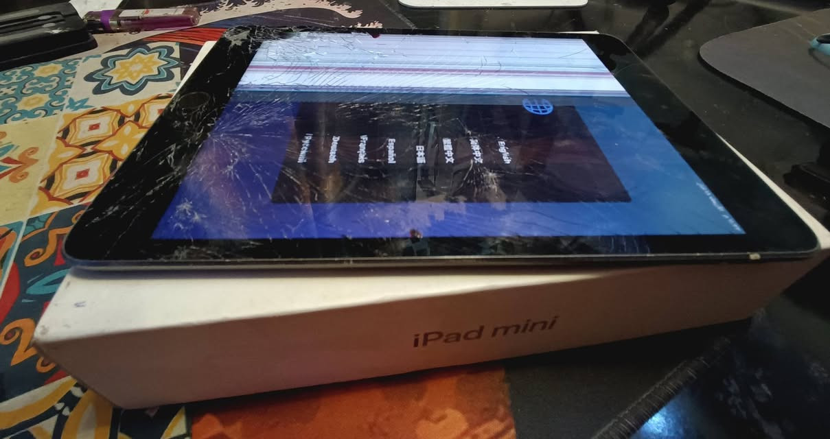 ميني 5 فحم 50 الف


**إذا كنت صاحب هذا الإعلان وتريد حذفه لأي سبب، رجاءا أرسل رسالة إلى الدعم الفني**