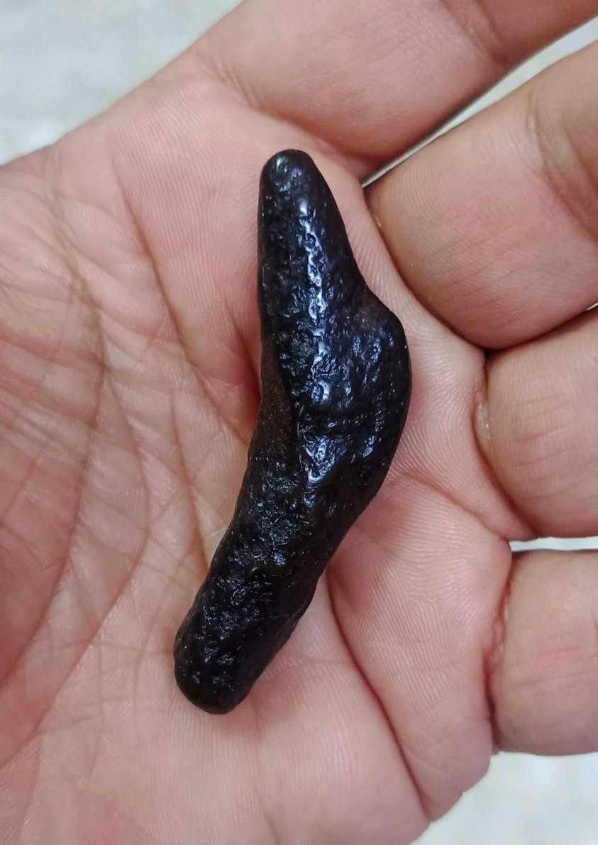 السلام عليكم/ عروكه سلطاني نباعي ذمه
يوجدً توصيل لجميع المحافضات

***********واتس
