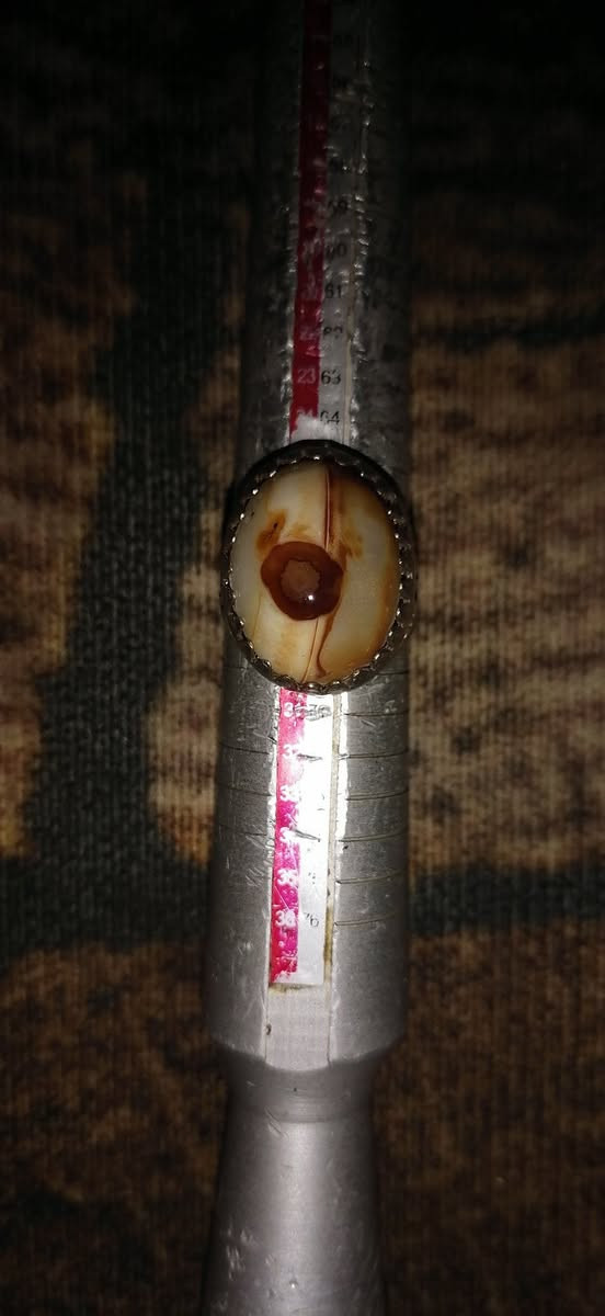 خاتم سليماني عطف   عين  صريحة  مفول قدددديم جدا نوع نادر حجر كامل (مصور  قدامتة واضحة بصورة)   مروحن ومنشط حسب الاصول الروحانية شغلة عاااام محبة  سلب ارادة  عقد لسان جاه وجه تسهيل امور محاكم مهابة بين الناس دخول دواوين دوائر دولة  مشروط شغل  القطعة نادرة وقديمة ماعليها غبار


**إذا كنت صاحب هذا الإعلان وتريد حذفه لأي سبب، رجاءا أرسل رسالة إلى الدعم الفني**