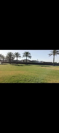 5دونم طابو ملك صرف المكان الغزاليه  قريبه علا مجمع الجوادين الكاع إلهه...