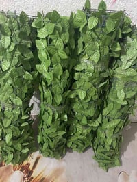 سياج • ٣ متر • نظيف وجديد