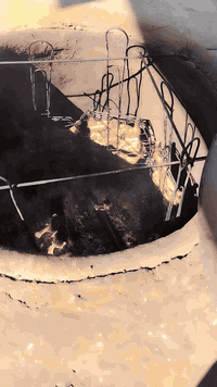 اهل العزائم ولعراس لكم خصم يم. مسكوف ابو اوس. ***********   حياكم الله
