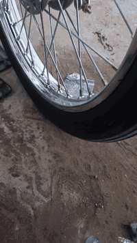 موديل ٢٠٢٣ • أوراق أصلية • ما يحتاج