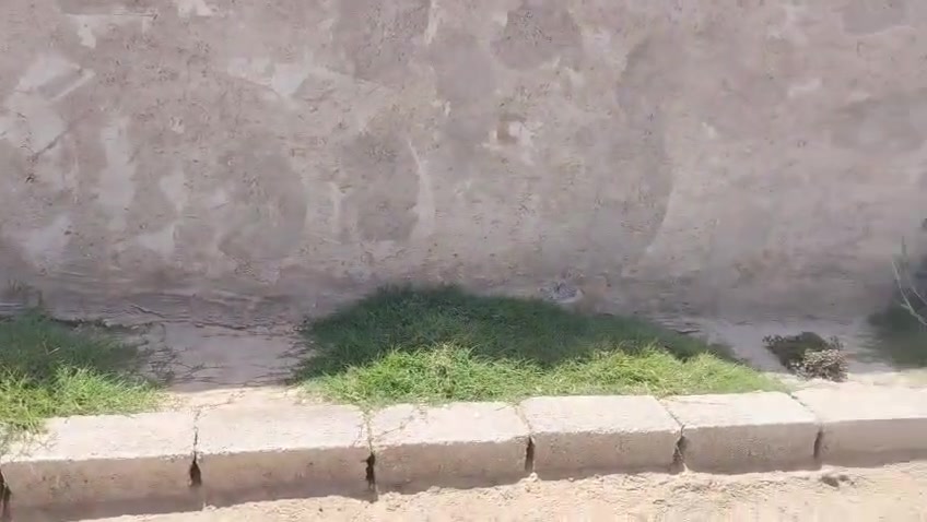 بيت بشارع 64 نجف واصل لتقيم  200متر سعره 15 بيعه مستعجله


**إذا كنت صاحب هذا الإعلان وتريد حذفه لأي سبب، رجاءا أرسل رسالة إلى الدعم الفني**