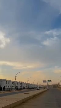 قفاز • ٣٠٠ • ٢٠٢٣