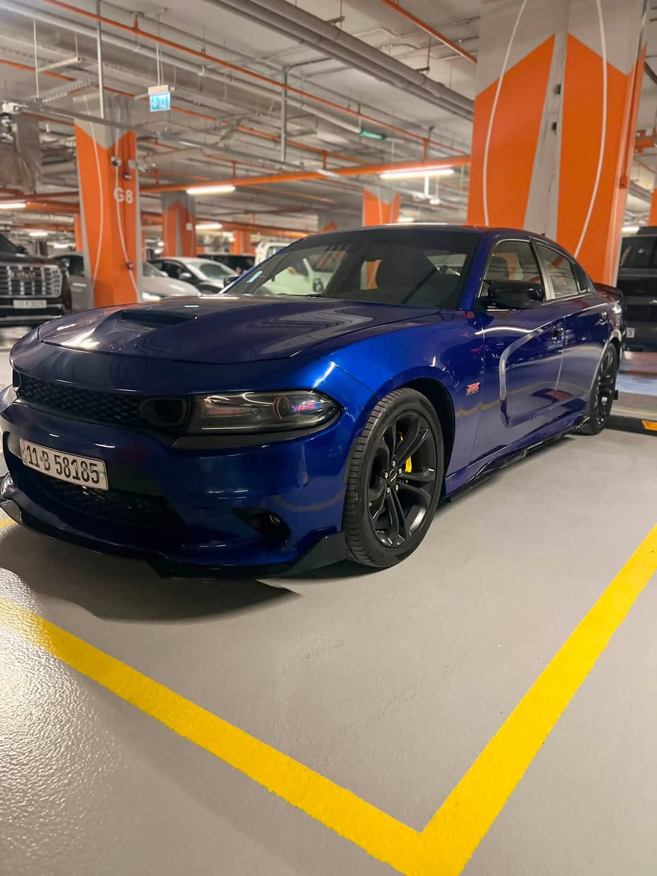 2021Dodge Charger 5700Rt
🛑موديل2021
🛑المكينه 5700ccمكفوله 
🛑شاشه كبيره
🛑شفتات ستيرن
🛑دبات سود صوت الكزوز يرعد
🛑برمجه سيفتي وتحديثات كله يم مصطفى ايكل سرعه مفتوحه فصله قفل
🛑كت كامل هيل كات
🛑سماعات الباين صوتهن يخبل
🛑تدفئه تبريد كشنات وستيرن وتبريدها ثلج
🛑عليها ادامه كامله
🛑عبوه جديده قبل اسبوع شادها باور ستيل
🛑بلكات جدد
🛑 ادامه حداديه صدر قبل اسبوع شادها اصلي
🛑مازدات متغيره 
🛑راديتر جديد 
🛑عليها اويل كاج كان
🛑ممشاها ١١١كيلو

اخوتي الأعزاء السياره مبيها نقص برغي كامله على اخر حبه مال جناي ومصروف عليها من ادامه من ترتيب يعني تأخذها متصرف عليها اي شي صور حادثها بالمنشور مكفوله من الكص الحادث بالعراق السياره نضيفه حيل تفيدك هله بيك وعلى راسي متفيدك هم على راسي

⭕️السعر 205$ وبيها مجال للشراي
المكان الزعفرانيه 
***********
