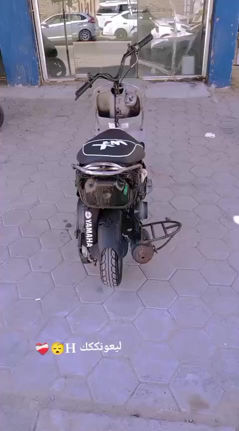 منغولي للبيع 49مامفتوحه بلاد غراضهه كامله كليش شغال بيهه    سعر 650بيهه مجال ماعاجبك اطلع كبللل


**إذا كنت صاحب هذا الإعلان وتريد حذفه لأي سبب، رجاءا أرسل رسالة إلى الدعم الفني**