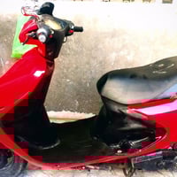 فراشة • احمر • النجف الاشرف