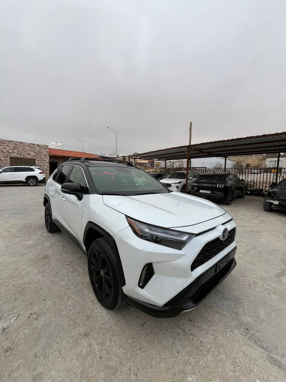 السلام عليكم 

تويوتا راف فور فئه XSE اعلى صنف سياره 

الضرر بدون قطرة صبغ تبديل جاملغ وبنيد نفس لون 
بلاديات نفس لون  كشرها بدون اي قطرة صبغ باذن الله  
 
ماشيه 18 الف 

مواصفات

بصمات 

بنوراما

توكلر

مودات قياده

شاشه دجتل -

صندوك كهرباء

كامرات محيطيه 360 درجه 4كامرات

كشن ذاكره خزن ميموري

شحن لاسلكي

ستيرن تدفئه

تشغيل عن بعد

لايت زنون led 

قطعتين تبريد

سياره مكان الاردن الحره 

تحب ادخلها بغداد او بكتاب شهداء انت براحتك تريدها بل اردن ودخلها انت هم بكيفك تدخل باسم مشتري كبل 

سياره سيارتي شخصيه صار عدي ضرف ونويت ابيع لي تفيده سياره اني حاضر حتى تصليحها بلادي صلحته ايرباك رجعته سليم ستتم 

صارت رصعه بخشم شاصي صغيره +رصعه براس شاصي صغار حيل رجعتهن بارد بدون قطرة صبغ وشي جداً بسيط

وكشر سياره بدون اي صبغ 

سياره سعرها 215 بل اردن سياره  مكلفتني اكثر   بس اريد ابيع  وبيه مجال شويه شراي لي تعجبه اني حاضر

***********

وبالتوفيق ان شاءالله لي يريد يشتريها
