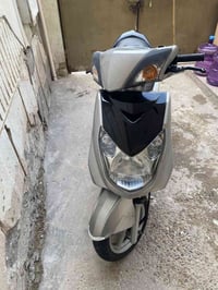 سكنس فحل • وارد كوري • مامفتوح