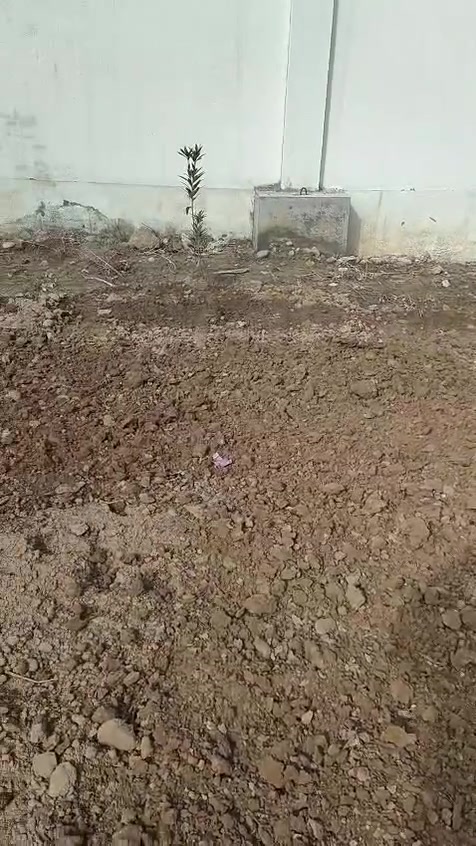 مكينه ينمر حجم 33 دبل اكسل 3 بستم بدون رقم وبدون معدات المكان بغداد الراشديه ***********
