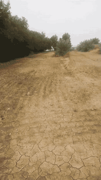 سلام عليكم الارض البيع موقعه فرع الزيوت بلحميره غريب ع بيت محسن جعازج مساحه 5 دونم ماي متوفر دامن شتاء وصيف عليه نهرين ماي بيت جاهزه السكن بيه نخل شويتي كله يحمل مزروعه حطنه رقم  ***********
