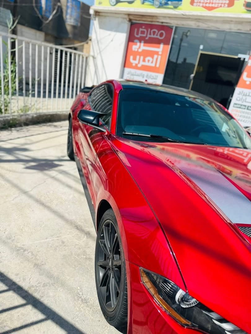 السلام عليكم 
فورد موستنك 2023
دخول جديد فحص موقت 
مواصفات / بصمه / شاشه كبيره / ويل كل ١٩ / رادارات امامي وجانبي وخلفي / كشن كهرباء / انظمه قياده / حساسات خلفيه 
محرك اقتصادي ايكو بوست 
بدون ايرباك حادث جانبي 
ماشيه 18 الف جديده حيل 
العنوان //السماوه حي الحسين لاربع سايدات 
معرض // برج العرب التجاره السيارات
لاتصال //واتس ***********
***********

