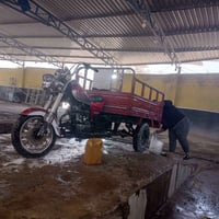 ستوته • كلك • ٢٠١٦