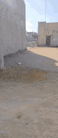 رقم الهاتف ***********
