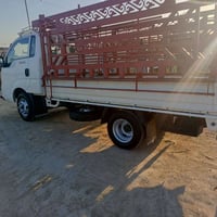 رقم بغداد • بدون محجر • كيه فحل