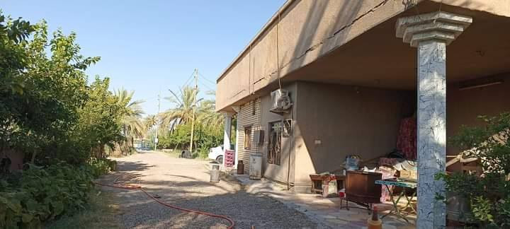 طابو زراعي سند ٢٥مع دار مساحه ٥ دونم مع دار سكن تحتوي على٥٣ نخله ملون برحي وجبجاب وخستاوي وزهدي وبريم أشجار متنوعة ٤٠ تين و٣٠ تفاح وباقي الحمضيات تتوفر فيها كافة الخدمات كهرباء وماء أسأله وماء للسقي وتبليط منطقة الشارع الرابط بين سده الهنديه وشارع بغداد
للإستفسار الاتصال *********** ابو باسم
