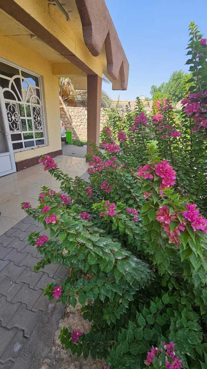 سلام عليكم بستان للبيع دونم وثلث الموقع ناحية العباسية الاتصال على الرقم ***********
