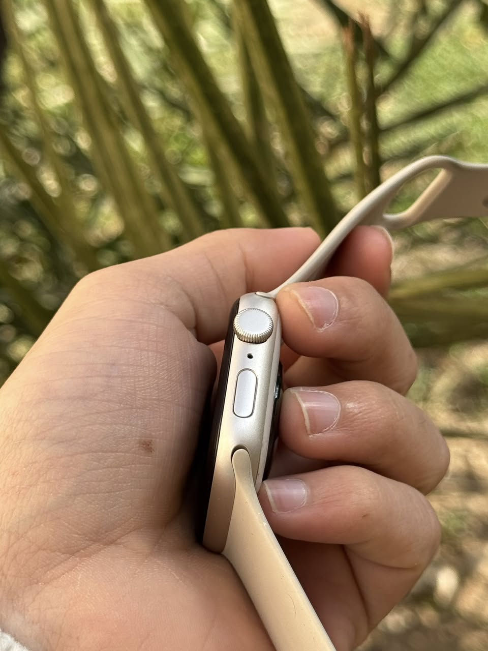 ابل واتش se 2
الحجم 44

بطارية 91

ذاكرة 32 كامل ملحقاتها الاصلية موجودة 
الساعة كثير نضيفة وشرط الفحص ولضمان

السعر خاص او  ***********

مكاني موصل ويوجد توصيل لكل المحافضات
