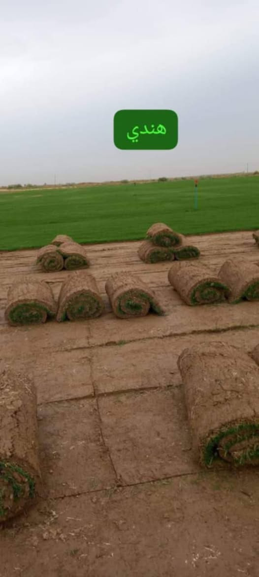 من رخصة الادمن المحترم 💞 ثيل للبيع واصل إلى البيت المتر بالفين ونص 🪷 ***********
***********
