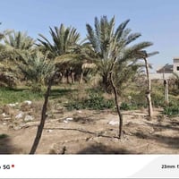 قطع سكنية • ٢٠٠م • قرب مستوصف الرواشد