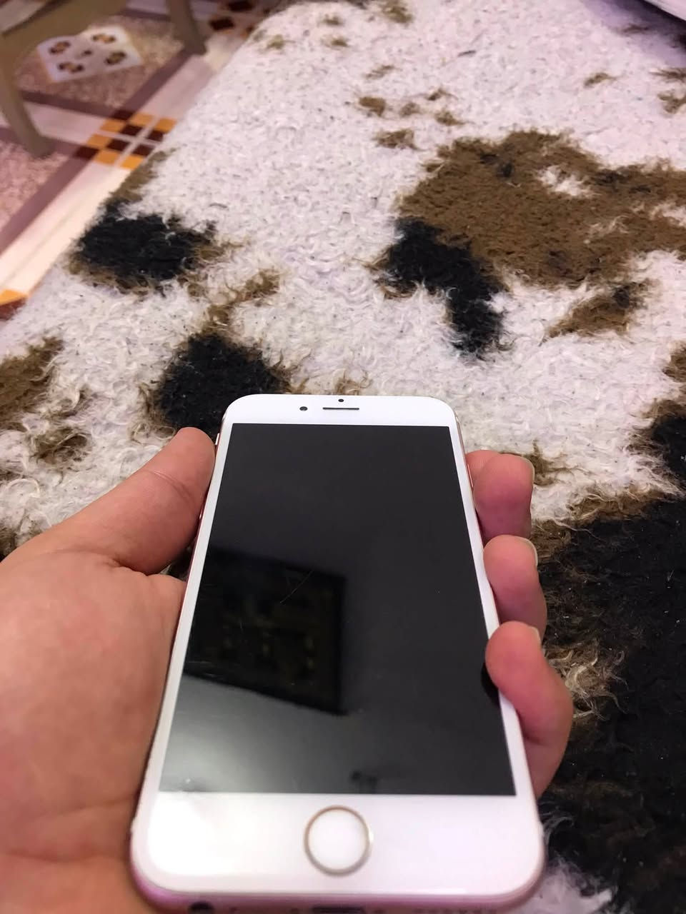 سلام عليكم ايفون 6s عادي جهاز كلش كلش نظيف لوك شرط مامفتوح شاشه بلادي بطاريه بلادي ذاكره 64 شرط بصمه سيمكارت كامرات كلها شغال وصوت فول واضح لون وردي وين ميعجبك افحص سلاسه فول جهاز حيل نظيف  شخط واحد مابي مكاني كركوك سعر 80الف


**إذا كنت صاحب هذا الإعلان وتريد حذفه لأي سبب، رجاءا أرسل رسالة إلى الدعم الفني**
